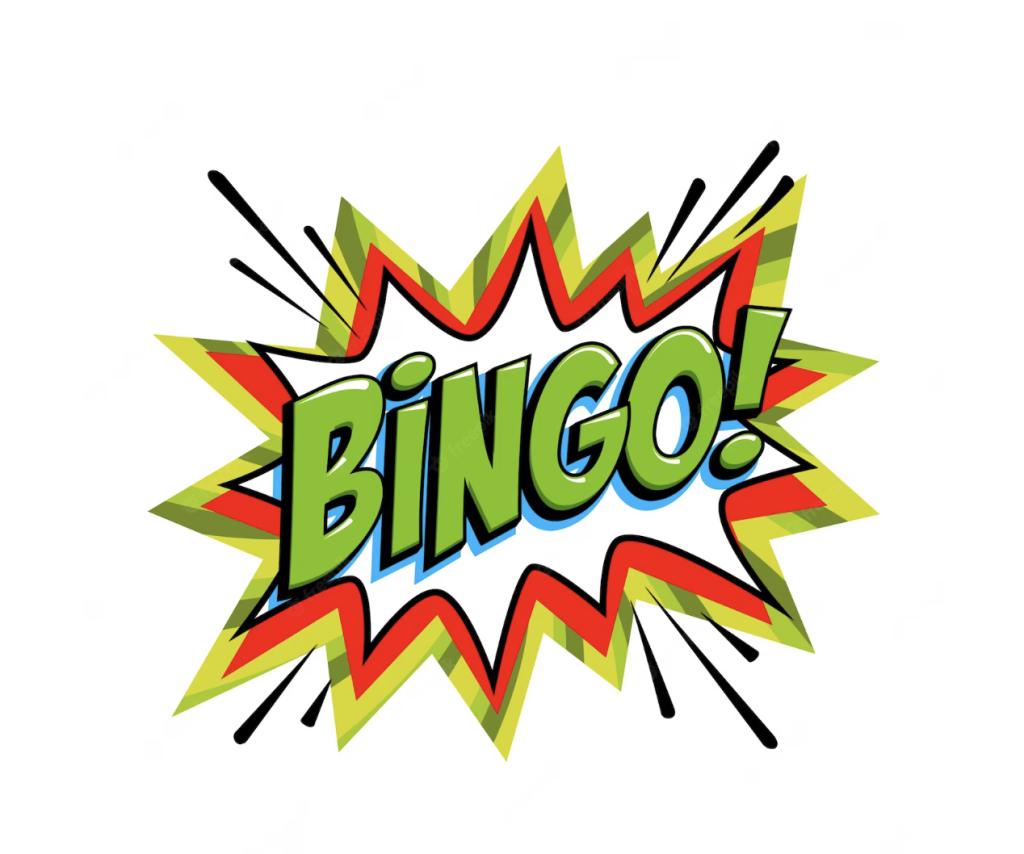 hur man spelar casino bingo_3